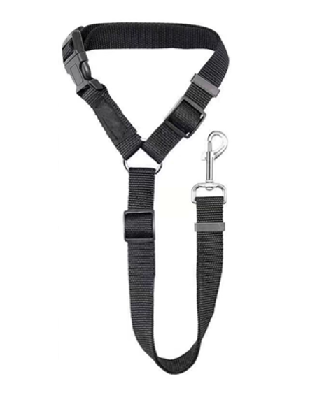 Pet Leash