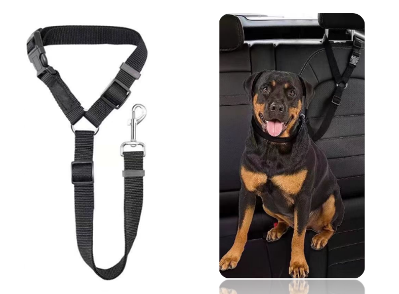 Pet Leash